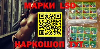 ECSTASY Новозыбков