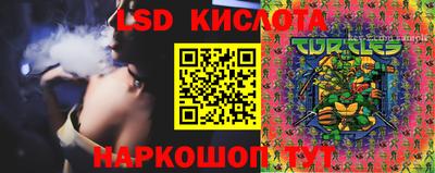 спиды Новокубанск