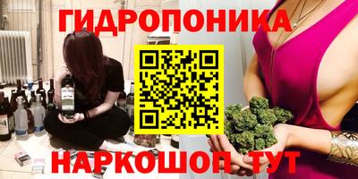 ECSTASY Новозыбков