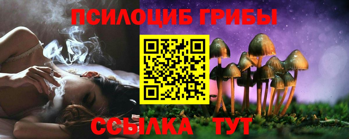 Удомля  где купить наркоту  Вход с VPN  Галлюциногенные грибы Psilocybe 
